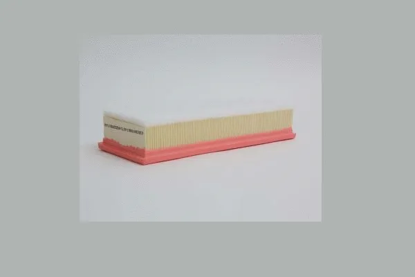 Air Filter (AE22225)