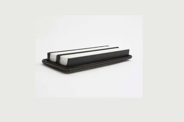 Air Filter (AE46834)
