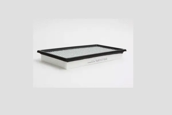 Air Filter (AE46862)