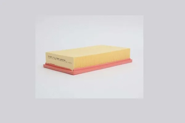 Air Filter (AE6738)