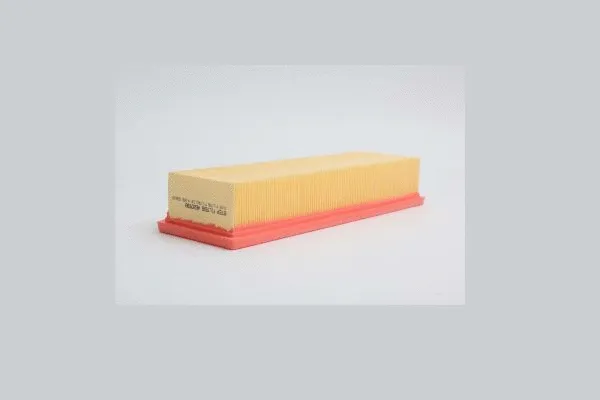 Air Filter (AE20938)
