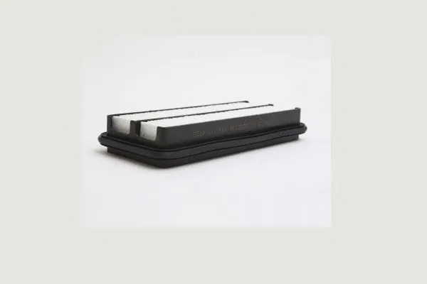 Air Filter (AE33635)