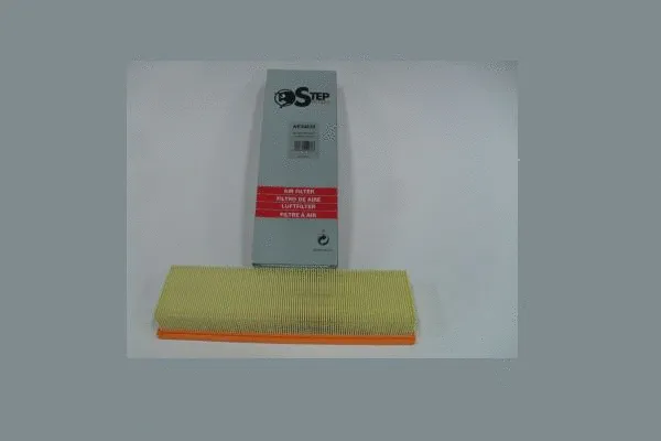 Air Filter (AE34839)