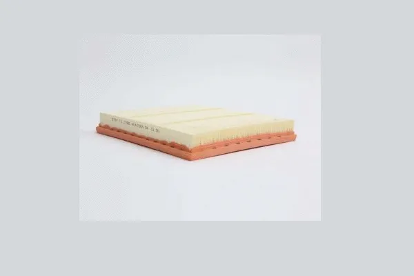 Air Filter (AE47065)