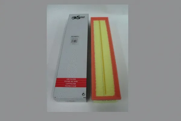 Air Filter (AE39073)