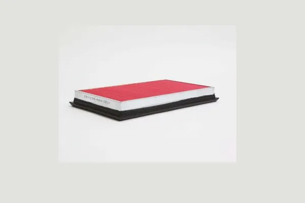 Air Filter (AE2818)