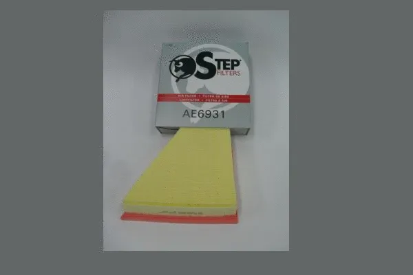 Air Filter (AE6931)