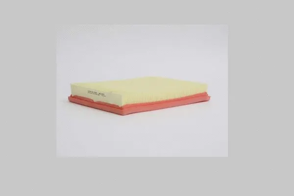 Air Filter (AE3155)