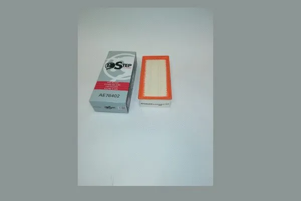 Air Filter (AE76402)