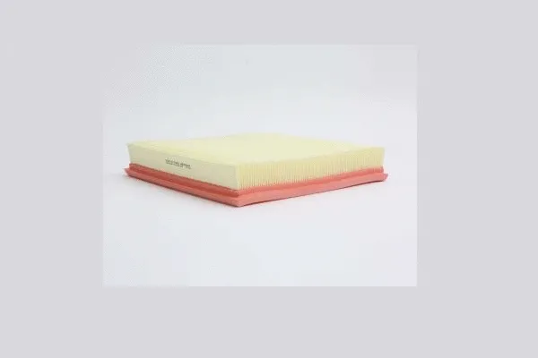 Air Filter (AE42604)