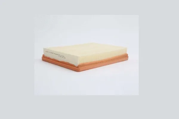 Air Filter (AE46860)