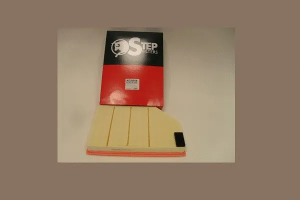 Air Filter (AE39856)