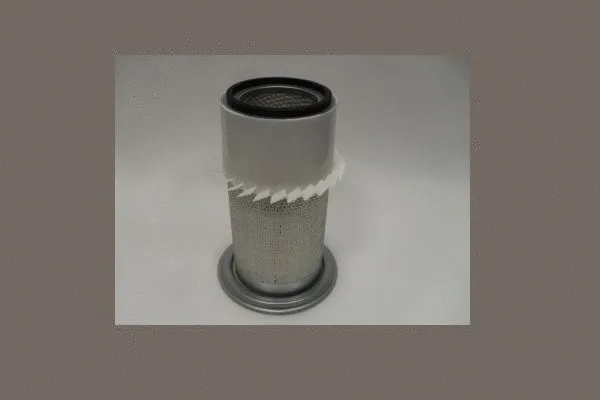 Air Filter (AE3099)