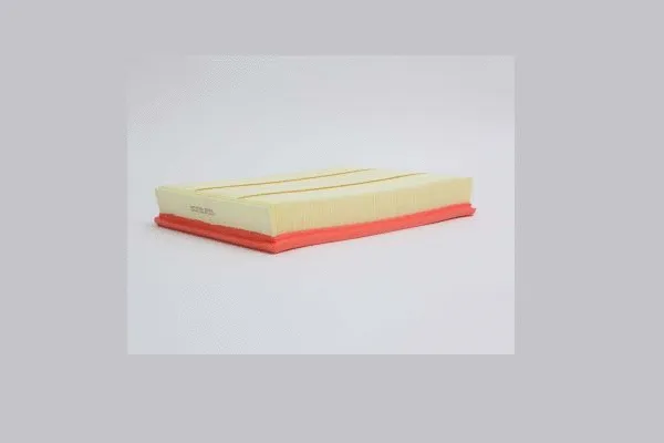 Air Filter (AE24751)