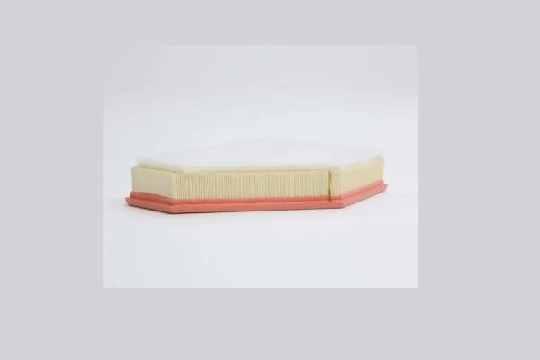 Air Filter (AE42151)