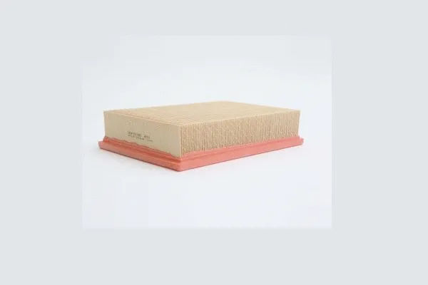 Air Filter (AE331)