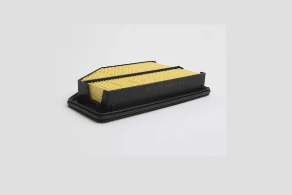 Air Filter (AE46859)