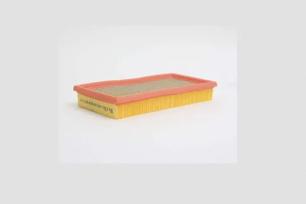 Air Filter (AE2798)