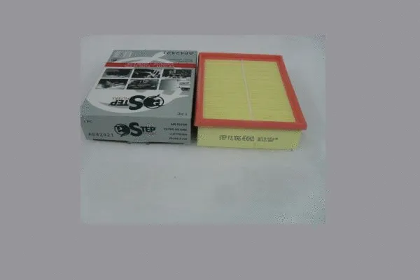 Air Filter (AE42421)