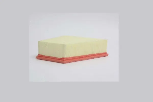 Air Filter (AE6910)