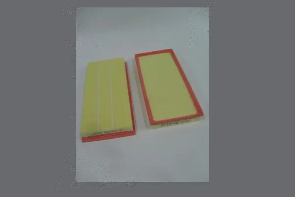 Air Filter (AE32862)