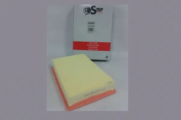 Air Filter (AE20640)
