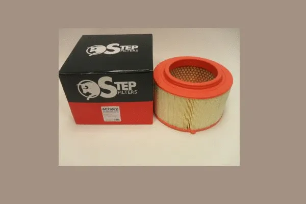 Air Filter (AE79872)
