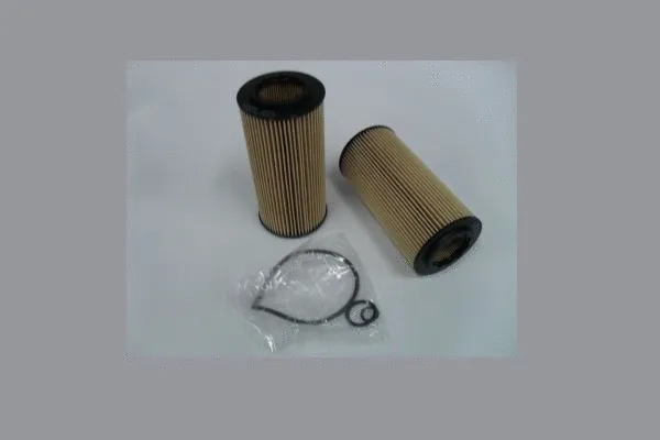 Oil Filter (HC6663)
