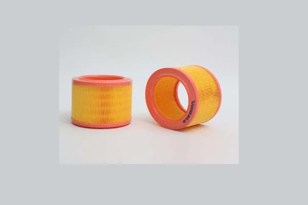 Air Filter (AE255)