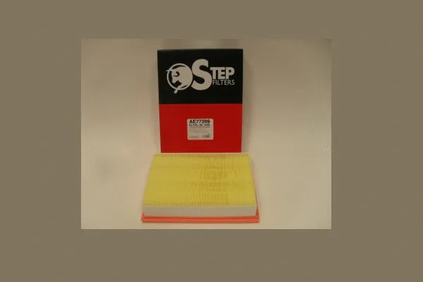 Air Filter (AE77399)