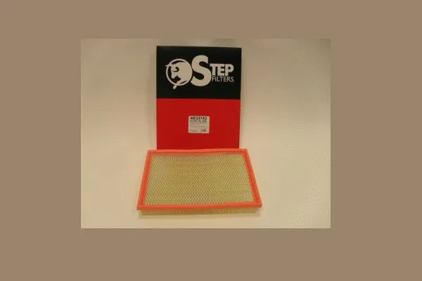 Air Filter (AE33143)