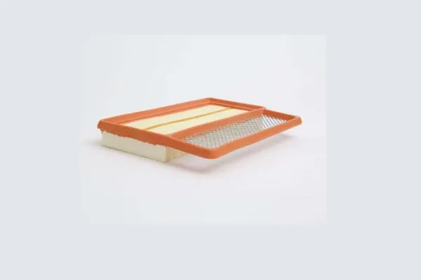 Air Filter (AE9008)