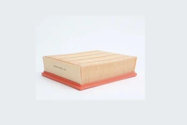 Air Filter (AE15725)