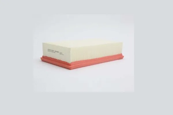 Air Filter (AE32824)
