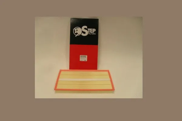 Air Filter (AE24892)