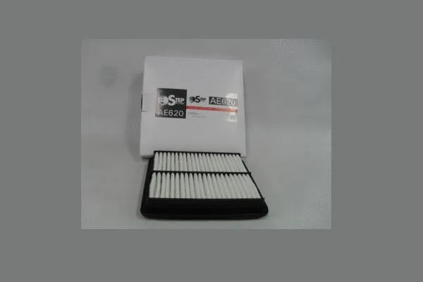 Air Filter (AE620)