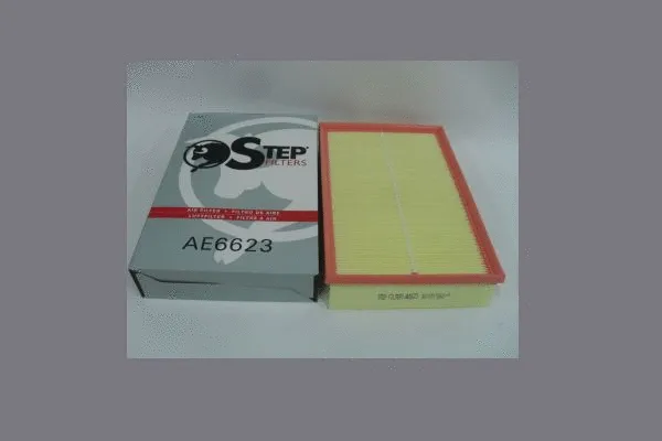 Air Filter (AE6623)