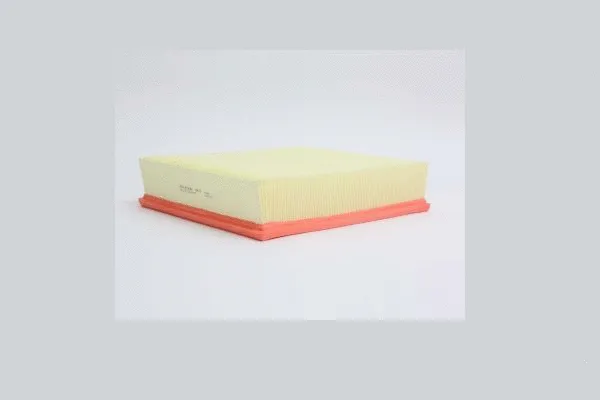 Air Filter (AE79)