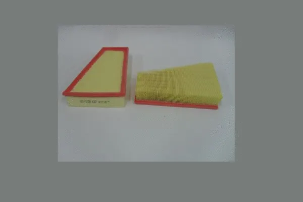 Air Filter (AE267)