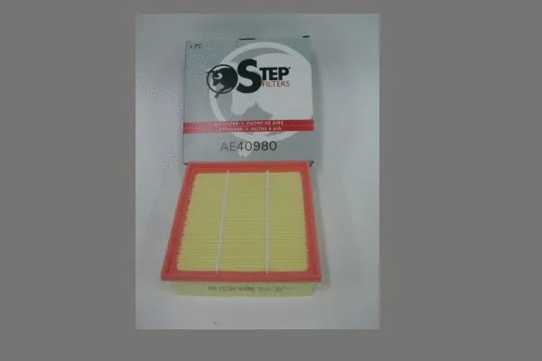 Air Filter (AE40980)