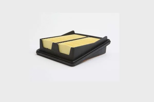 Air Filter (AE45203)