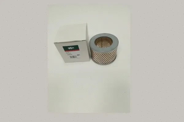 Air Filter (AE96510)