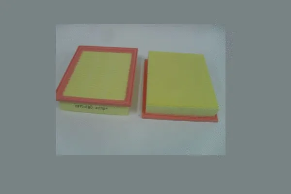 Air Filter (AE421)