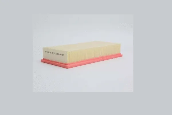 Air Filter (AE251)