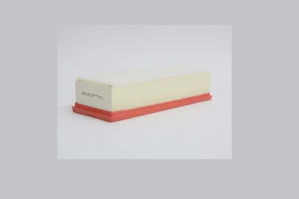 Air Filter (AE29446)