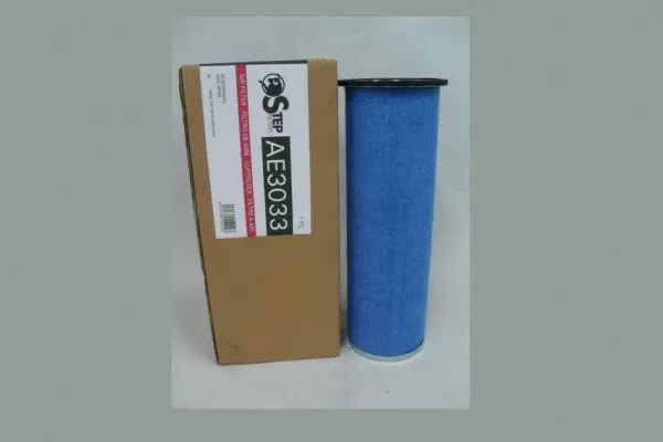 Air Filter (AE3033)