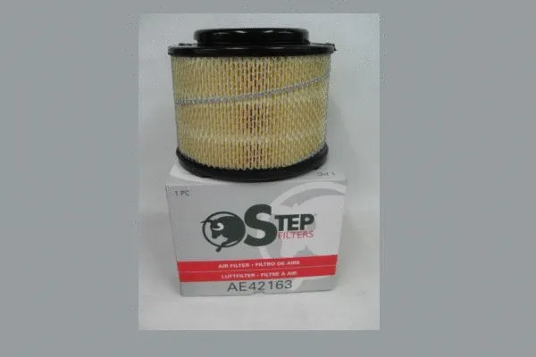 Air Filter (AE42163)