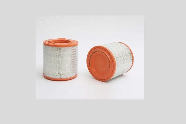 Air Filter (AE41071)