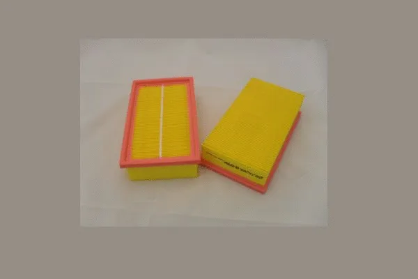 Air Filter (AE39886)