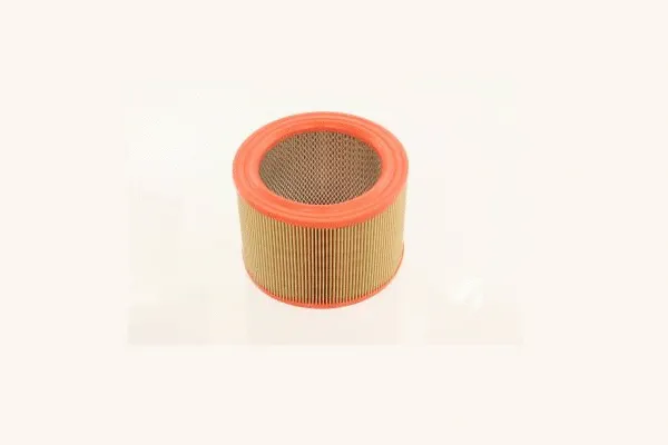 Air Filter (AE36083)